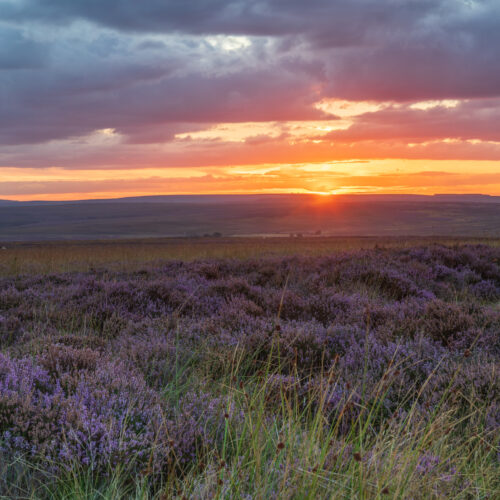 Danby Beacon Moors Sunset